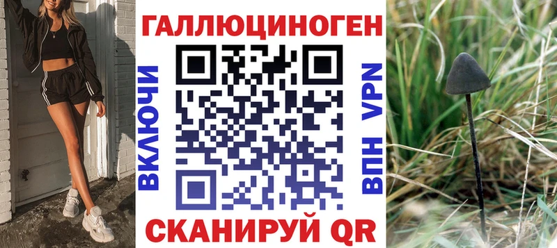 Галлюциногенные грибы GOLDEN TEACHER  цена   Кувандык 
